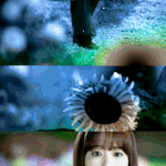 <b>멸망</b>에서 찡했던 장면