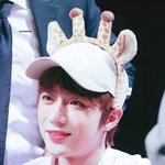 <b>꿀벌</b>이랑 콜라보한 달달 아이돌