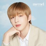 [강<b>다니엘</b>] 메르넬 뉴사진