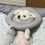 <b>이색기</b> 째리는거봐라