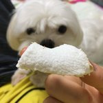 에어프라이기에 마시멜로우 구웠는데