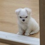 동생 조카 말 안 듣는데 어<b>카지</b>?