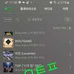 [스키즈] 스테이 화이팅❤❤