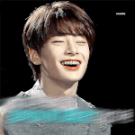 내가 본 아이돌 중에 사막여우 <b>상은</b> 딱 두 명임