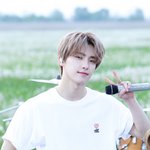 [세븐틴] 이<b>디노</b> 하 ..