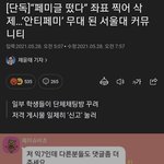 반페미는 <b>지능순</b>