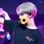 [NCT즌] 잠깐 <b>해바라기</b> 햇찬