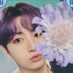 전정국 보라 머리 레전드 셀카