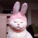 [드루와] 근데 나만 아이돌보다