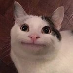 나 ㄹㅇ <b>러쉬</b>에 100만원쓴 쳐돌인데