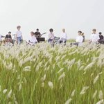 [세븐틴] 기강 잡자