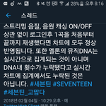 [세븐틴] <b>서양</b>수박