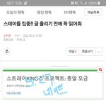 [스키즈] 인증하잔 이 글 썼던 <b>스테인데</b>