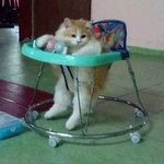 [드루와] 버스에서 <b>기침</b>하는 사람 있으면