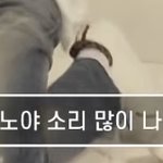 [세븐틴] 놀라지마 ... 드르륵 탁