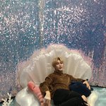 아니 이건 더보이쥬 공주 뉴 <b>탄생</b>한곳 아닌가