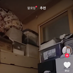 불싸로 비엘 보다가 미쳐버린 잼<b>민이</b>