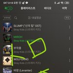 [스키즈] 용보기...