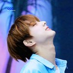 [엔하이픈] 이거 뭔가 <b>청초</b>하다