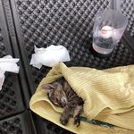 제발 살려주세요...(수정합니다)