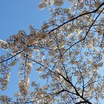 [이것좀봐줘] 팔로워 30인데 모르는 애들이 <b>염탐</b>해