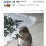 우리오빠 <b>intj</b>임..