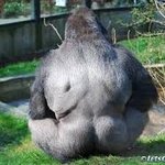 랄라<b>릴라</b>라~