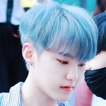 [세븐틴] 승가니 머리 그냥