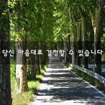[꼭봐주세요] 당신 마음대로 결정할 수 있습니다~