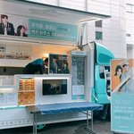 다들 석로에 진심이네