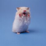 [댓글부탁해] 아빠가 나한테 ***ㄴ이라고 했는데 ..