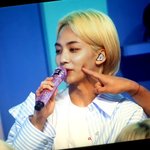 [세븐틴] 정하니 볼콕