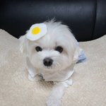 수도권 <b>물가</b> 비쌈??