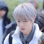 <b>적폐</b> 블로우
