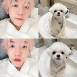 <b>기여</b>운 배켜니