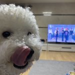 [세븐틴] <b>눈아들</b>..저 잊지 마여..