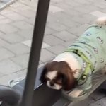 [댓글부탁해] 너네 스킨<b>케어</b> 제품 뭐 써???ㅠㅠ