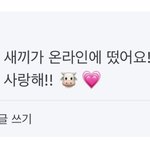 [트레저] 외국 트메 이거 뭐얔ㅋㅋㅋㅋㅋㅋ
