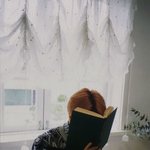 세훈 사진 찾아줄 엑소엘 ㅜㅜ