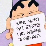 진짜 팬들만 아는 말 있냐 너네