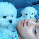 [세븐틴] 민규 애견카페 <b>사장</b>해도