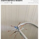 <b>여자력</b> 높아지고 싶어