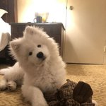 아직도 <b>여혐</b><b>사회</b>임