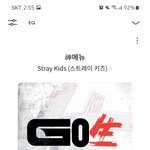 [스키즈] 얘들아 지금 혼란스럽겟지만 스밍은 계속 돌리자!!!