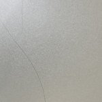 이정도면 얇은 <b>모발</b>임?