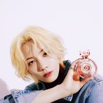 [세븐틴] 이정도면 <b>향수</b>한테 사과해야함