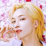 [세븐틴] <b>정한</b>이 또눕혔구나