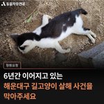 [이것좀봐줘] 다들 꼭 봐줘 부탁할게