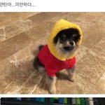 진짜 팬들만 아는일화 알려줘