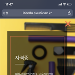 [댓글부탁해] 급함 <b>미용</b> 대학 졸업하면 자격증